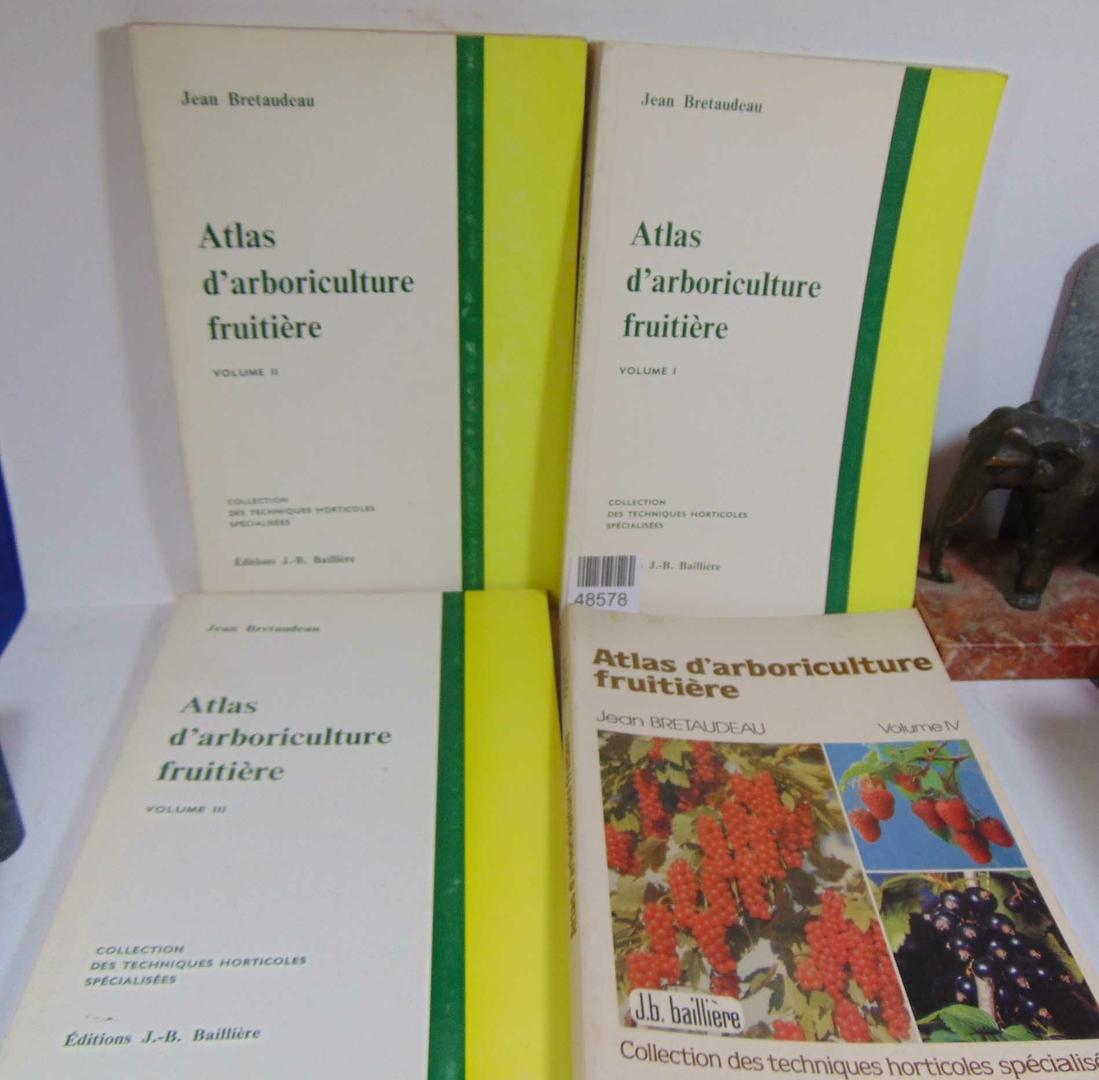 48578