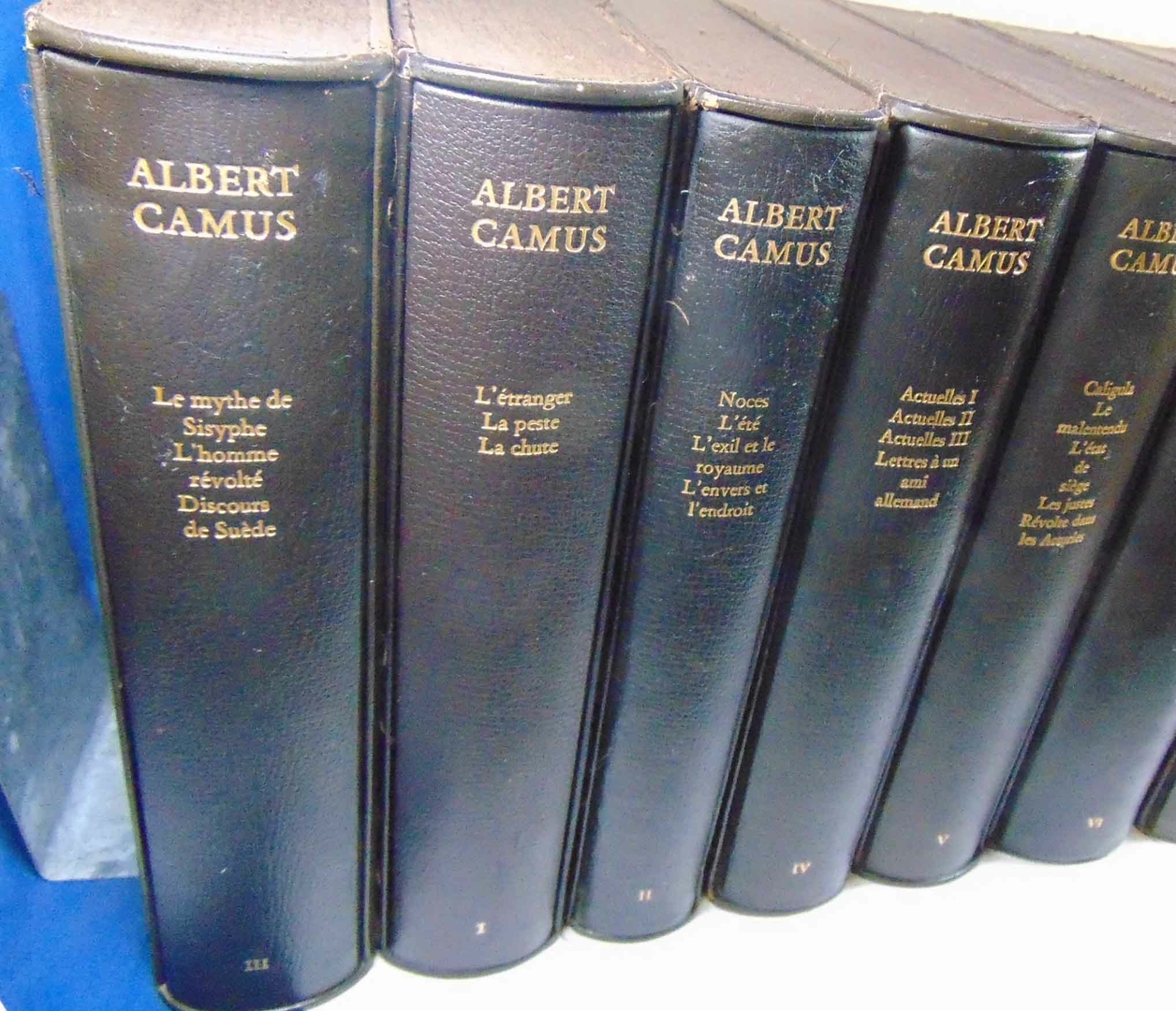 49649_2