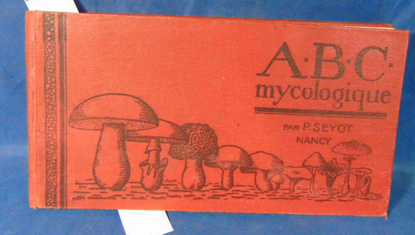 50228
