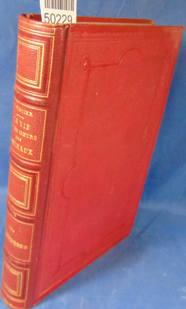 50229