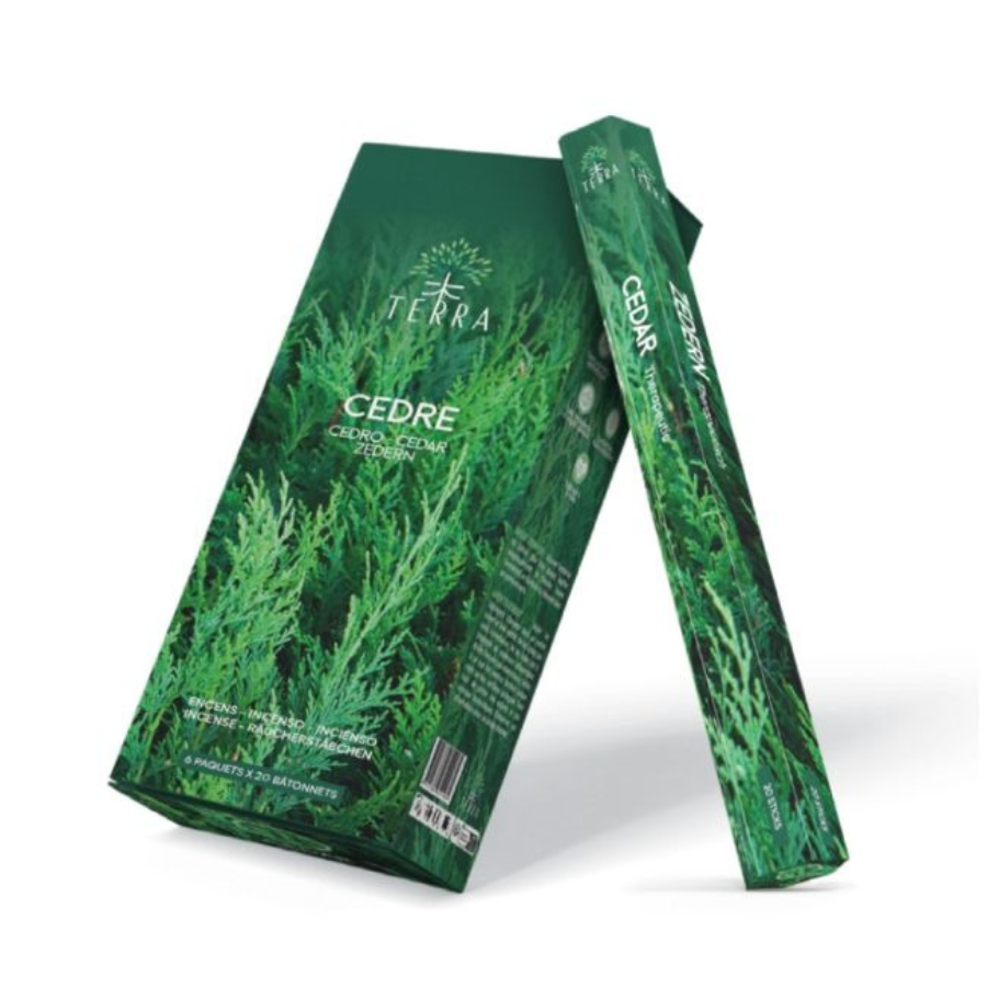 encens-en-batons-cedre-terra-sans-charbon-fragrances-et-sens-30g-boutique-esoterique-le-temple-d-heydines