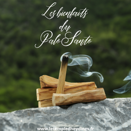 Le Palo Santo : un remède naturel pour apaiser l'esprit