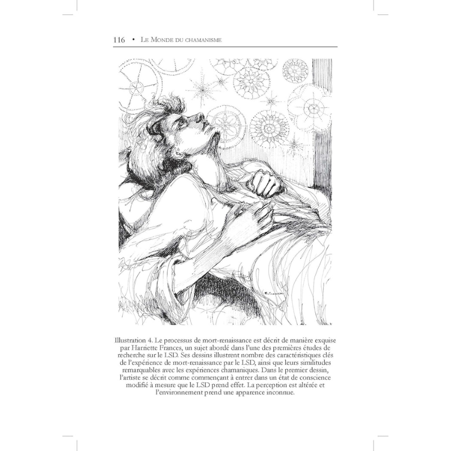 livre-le-monde-du-chamanisme-page-116-boutique-esoterique-en-ligne-le-temple-d-heydines
