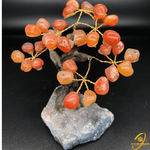 arbre-du-bonheur-en-cornaline-boutique-esoterique-le-temple-d-heydines