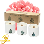 bougie-botanique-a-la-cire-de-soja-pivoine-victorienne-boutique-esoterique-le-temple-d-heydines