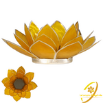 bougeoir-lotus-capiz-jaune-et-argente-chakra-plexus-solaire-boutique-esoterique-le-temple-d-heydines