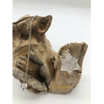 pendule-cristal-de-roche-merkaba-boutique-esoterique-le-temple-d-heydines