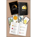 gerard-barbier-oracle-ge-boutique-esoterique-le-temple-d-heydines