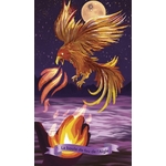 oracle-des-petits-magiciens-carte-1