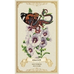 carte-oracle-fleurs-enchantee-boutique-esoterique-le-temple-d-heydines