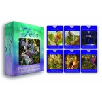 le-tarot-des-fees-doreen-virtue-radleigh-valentine-coffret-boutique-esoterique-le-temple-d-heydines