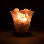 lampe-led-fleur-de-vie-en-amethyste-boutique-esoterique-le-temple-d-heydines