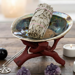 coquille-abalone-ormeau-paua-haliotis-iris-avec-trepied-cobra-en-bois-boutique-esoterique-en-ligne-le-temple-d-heydines