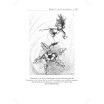 livre-le-monde-du-chamanisme-page-117-boutique-esoterique-en-ligne-le-temple-d-heydines