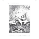 livre-le-monde-du-chamanisme-page-118-boutique-esoterique-en-ligne-le-temple-d-heydines