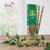 encens-en-batons-herbio-patchouli-fragrances-et-sens-labelise-ecocert-20-grammes-boutique-esoterique-le-temple-d-heydines