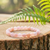 bracelet-agate-fleur-de-cerisier-8mm-qualite-a-boutique-esoterique-en-ligne-le-temple-d-heydines