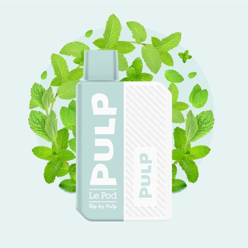 starter-kit-pod-flip-menthole-2ml-pod-flip-by-pulp