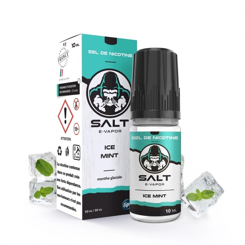 salt-e-vapor-ice-mint-10ml-le-french-liquide