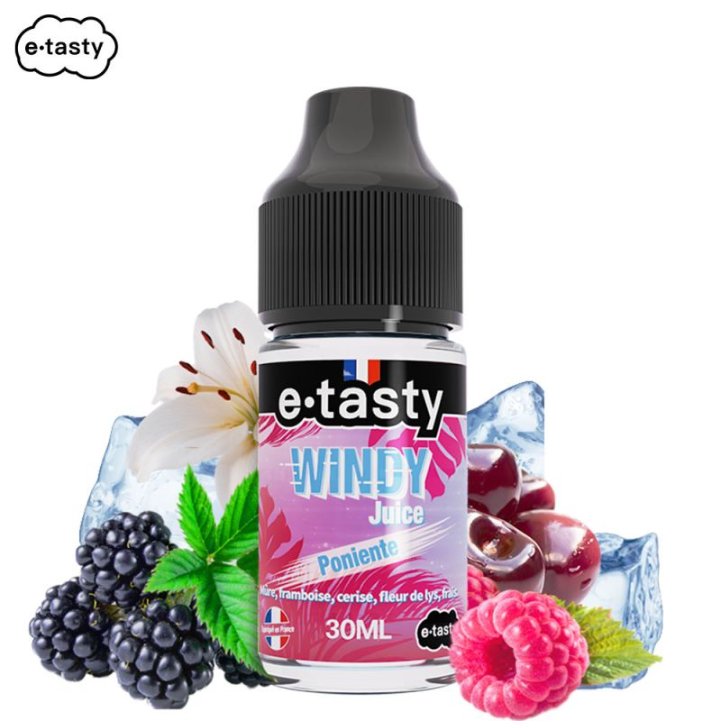 concentre-poniente-30ml-windy-juice-by-etasty