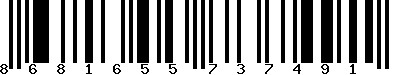 8681655737491