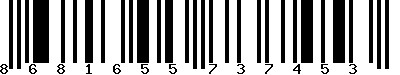 8681655737453