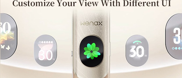 wenax-q2-geekvape-grossiste-en-ligne