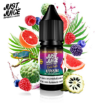 cherimoya-pamplemousse-et-baies-10ml-nic-salt-just-juice