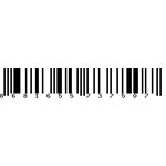 8681655737507