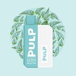 starter-kit-pod-flip-menthole-2ml-pod-flip-by-pulp