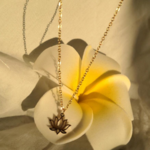 Fleur de lotus