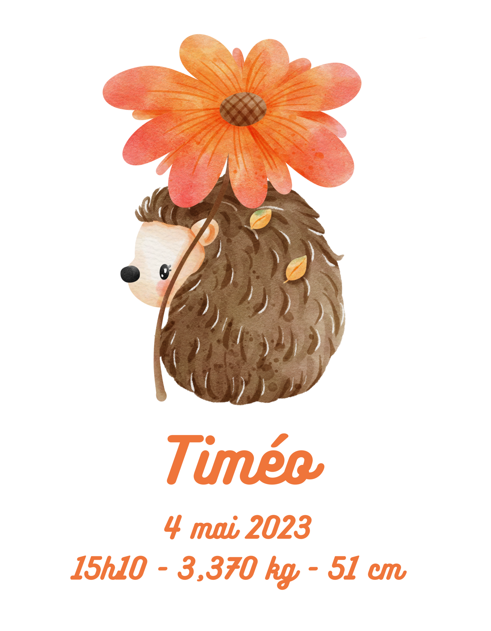 affiche de naissance avec un hérisson portant une grande fleur