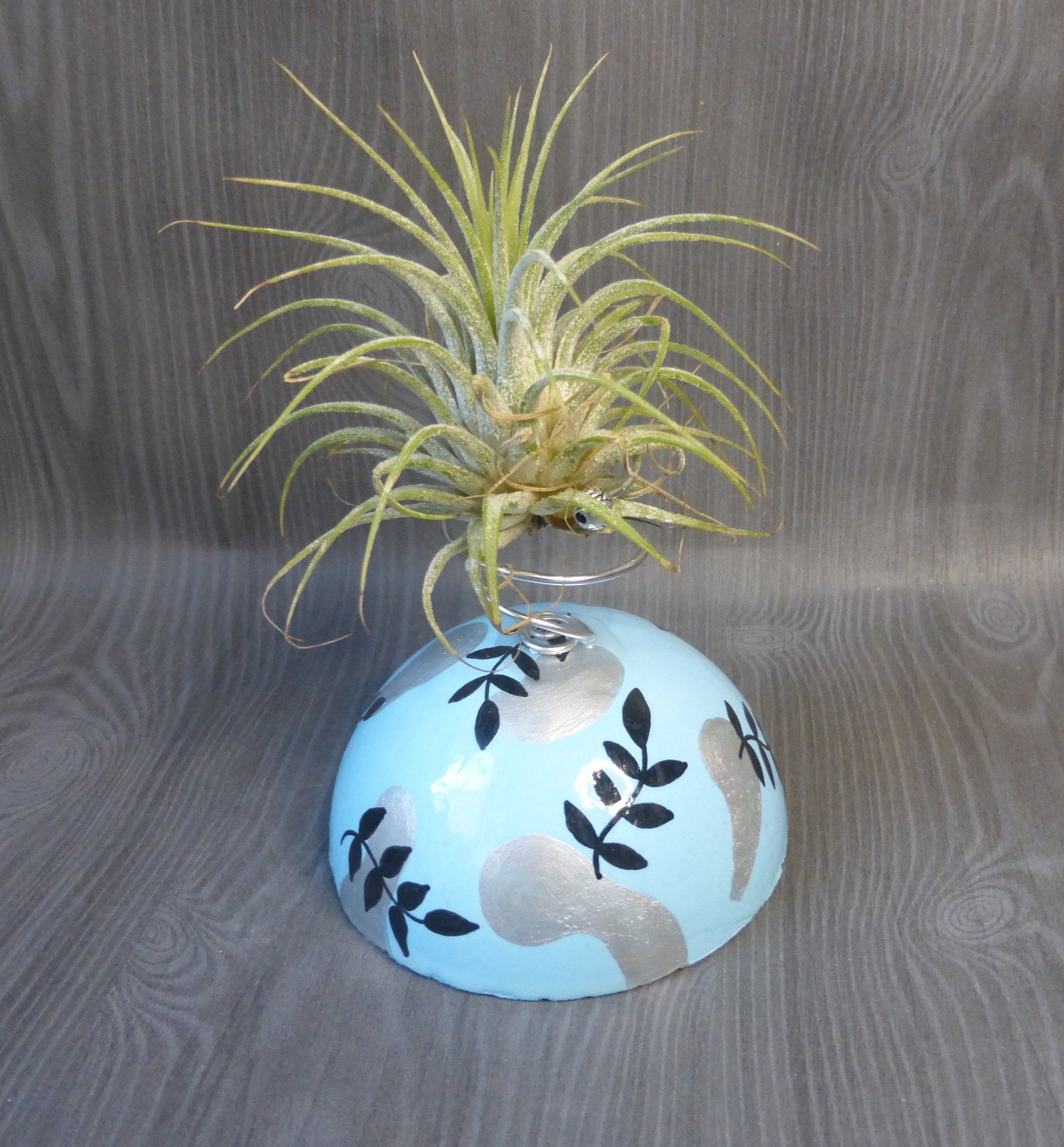 support pour tillandsia