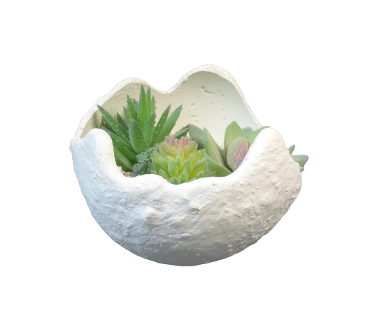 JARDIN ZEN BOULE (2)