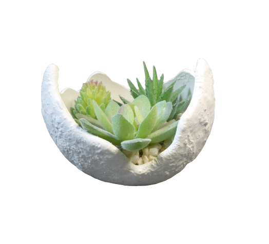 JARDIN ZEN BOULE (4)