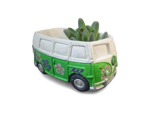 combi vert fleurs (1)