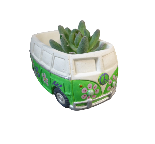 combi vert fleurs (3)
