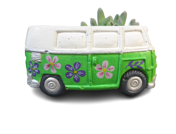 combi vert fleurs (7)