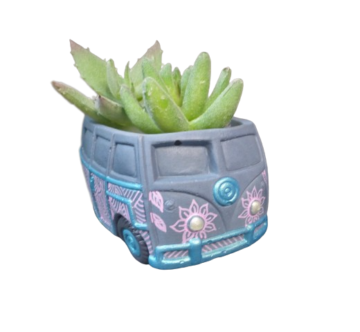 pot de fleurs succulentes (1)