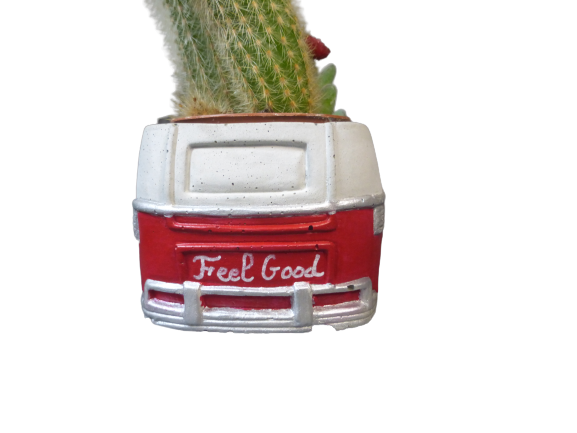 pot feel good (5)