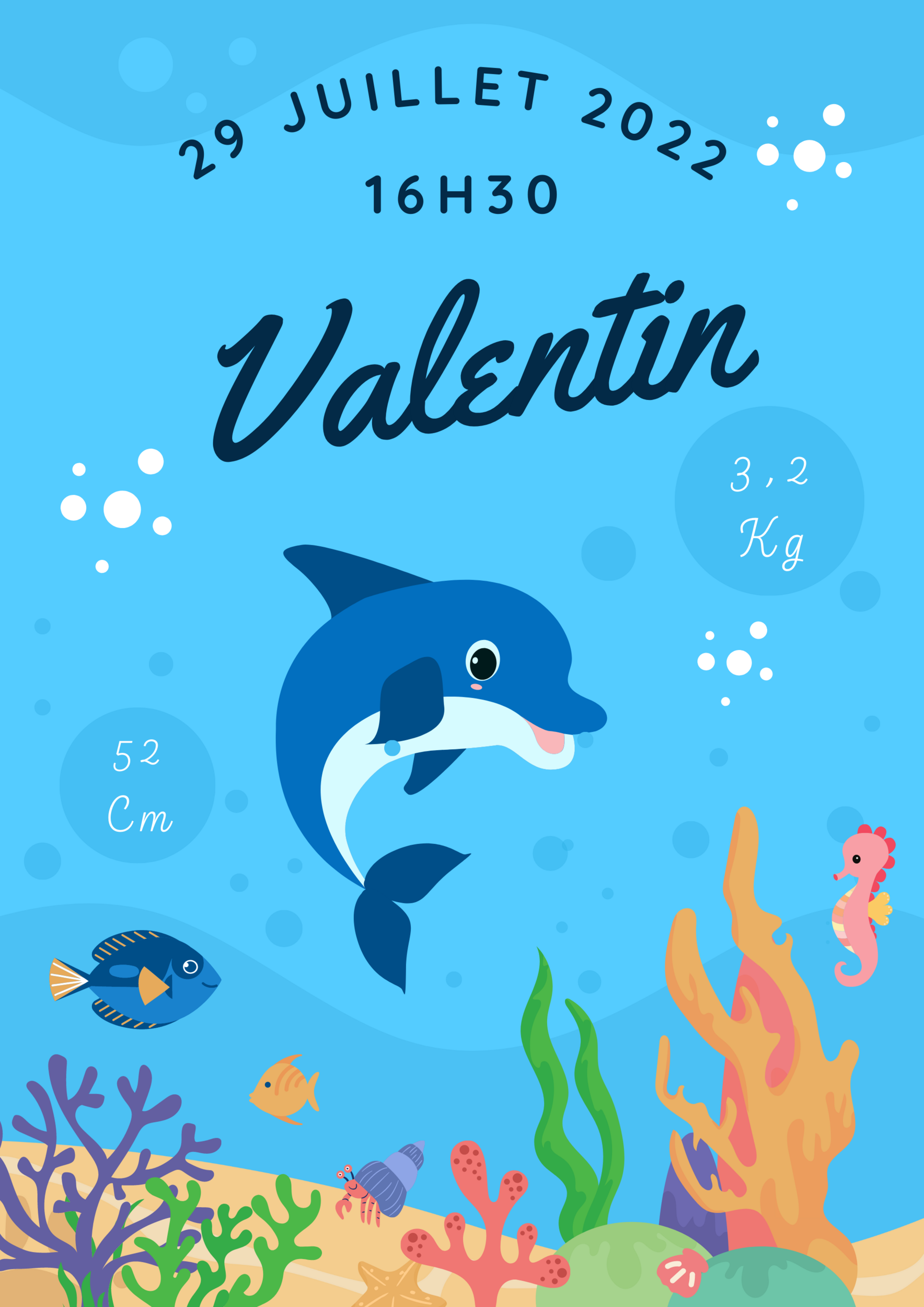 affiche de naissance dauphin