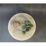 support tillandsia