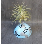 support pour tillandsia