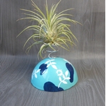 support tillandsia