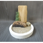 support tillandsia avec sable