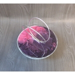 support tillandsia