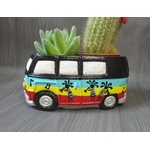 pot de fleurs succulente