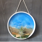 support mural tillandsia