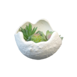 JARDIN ZEN BOULE (2)