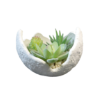 JARDIN ZEN BOULE (4)